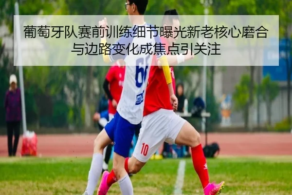 葡萄牙队赛前训练细节曝光新老核心磨合与边路变化成焦点引关注 - lansedaoh